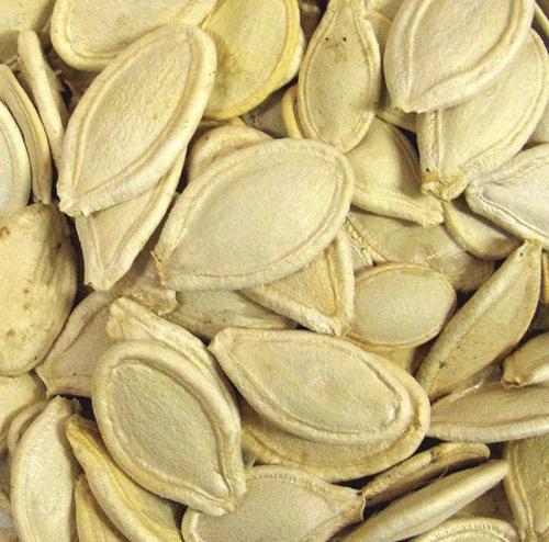 Доспевает ли дома тыква. Можно ли и как заставить созреть недозрелую тыкву 04