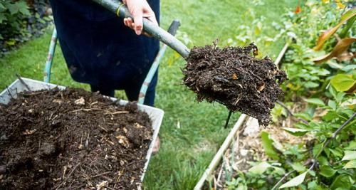 Компост когда и как вносить в почву. Осенние мероприятия по удобрению почвы компостом 03