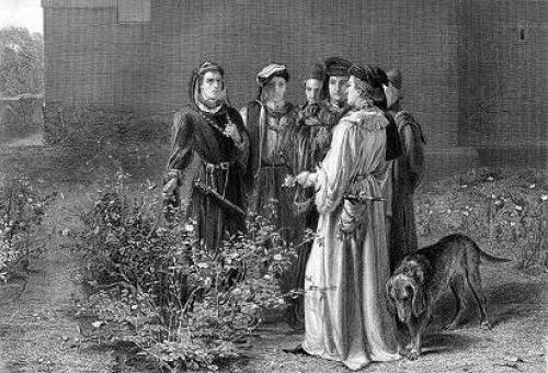 Какой страны символ красная роза. Красная роза - флористический символ Англии 01