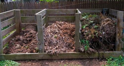 Компост когда и как вносить в почву. Осенние мероприятия по удобрению почвы компостом 01