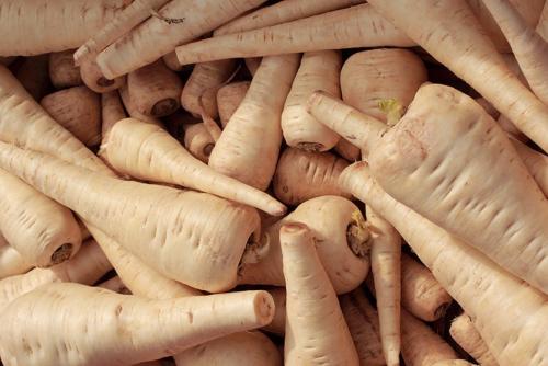 Посадка овощей весной. Ранние овощи. Не пропустите посадку!