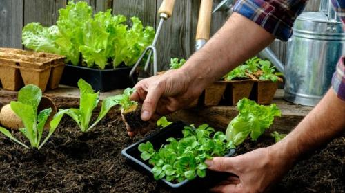 Температура почвы температура воздуха. Подводим итоги Сентябрьского стоп-кадра в 2020/2020 учебном году 02