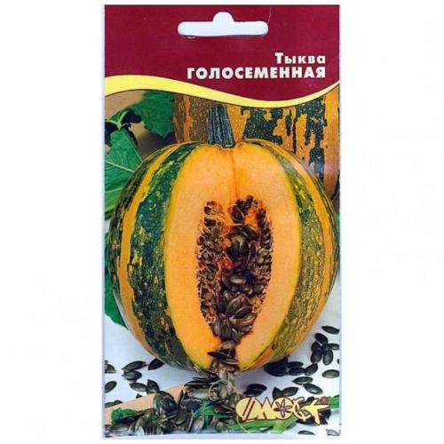 Тыква сорт, как кабачок. Лучшие сорта тыквы мускатного, твердокорого и крупноплодного вида