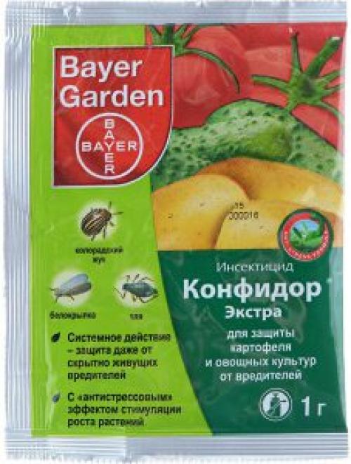 Фитоплазмоз помидор. Опасная болезнь — столбур томатов: меры борьбы с вирусом и причины его появления, профилактика возникновения