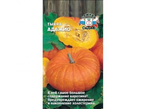 Тыква сорт, как кабачок. Лучшие сорта тыквы мускатного, твердокорого и крупноплодного вида
