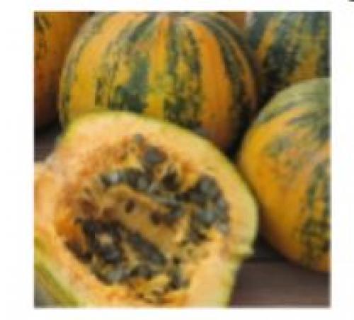 Тыква круглая зеленая. Зеленая тыква: главная информация о свойствах 03