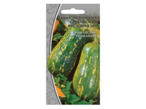 Тыква зеленая, как кабачок. Лучшие сорта тыквы мускатного, твердокорого и крупноплодного вида