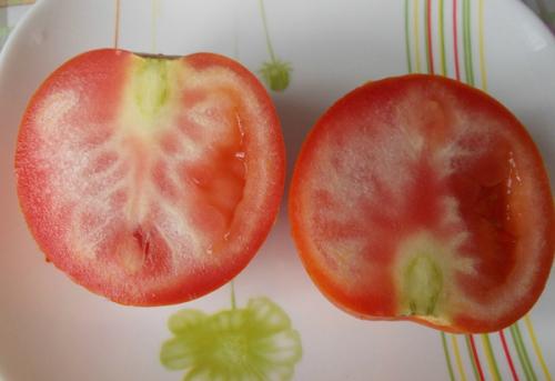 Почему помидоры внутри с белыми жесткими прожилками. Отчего помидоры внутри белые и жесткие