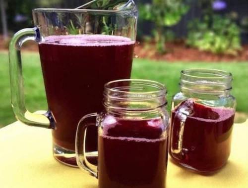 Нам помогла шикша. Польза, лечебные свойства и противопоказания к употреблению шикши