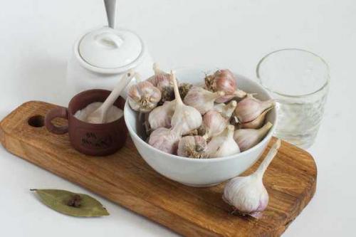 Чеснок на зиму рецепты очень вкусно. Зимние заготовки из чеснока. Золотые рецепты — классика и оригинальные варианты