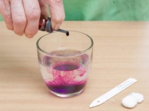 Как замачивать лук перед посадкой. Зачем замачивать лук перед посадкой 01