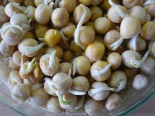 Как замачивать лук перед посадкой. Зачем замачивать лук перед посадкой 02