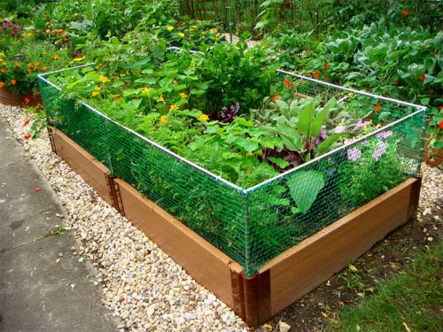 Чем огородить грядки на даче дешево. Делаем ограждения вокруг грядок из различных материалов
