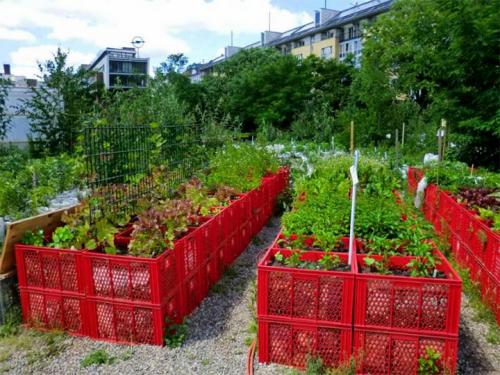 Чем огородить грядки на даче дешево. Делаем ограждения вокруг грядок из различных материалов