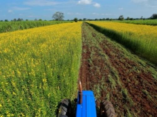 Осенняя подготовка огорода к зиме. Необходимость подготовительных работ 08