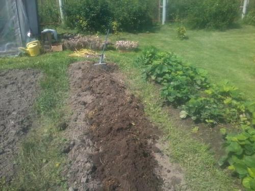 Осенняя подготовка огорода к зиме. Необходимость подготовительных работ 13