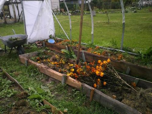 Осенняя подготовка огорода к зиме. Необходимость подготовительных работ 12