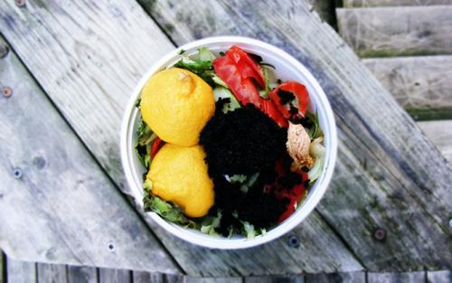 Переработка компоста. Переработка органики: что нельзя добавлять в компост