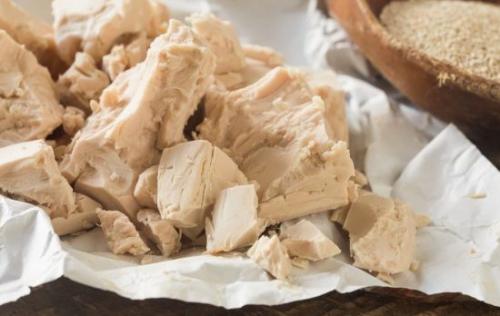 Внекорневая подкормка огурцов дрожжами. Зачем подкармливать огурцы дрожжами