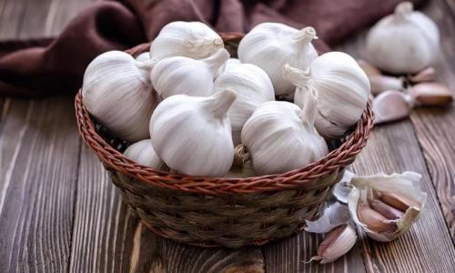 Любит ли чеснок тень. Огородные культуры, не боящиеся тени 01