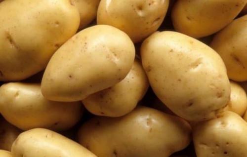 Сорта картофеля по алфавиту с описанием и фото