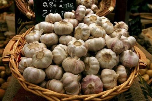 Как хранить чеснок в холодильнике. Как сохранить чеснок до весны свежим и ароматным — сроки хранения