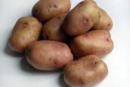 Сорта картофеля по алфавиту с описанием и фото