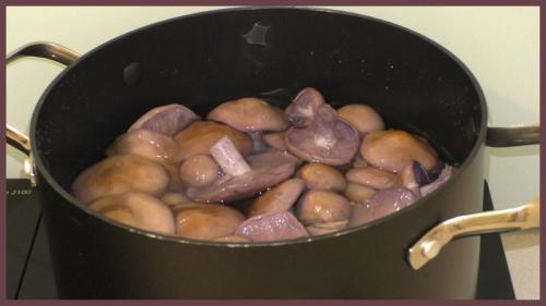 Как готовить рядовки фиолетовые. Как солить рядовки в домашних условиях?