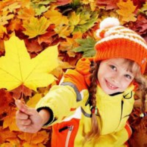 Приметы в мире животных о погоде. Другие животные 02