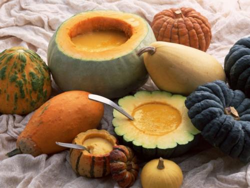 Разновидности тыквы в картинках. Тыква — уход, болезни, сбор и основные сорта + 98 фото