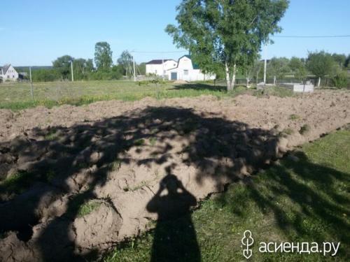 Как облагородить целину. Как разработать перепаханную целину с минимальными потерями?