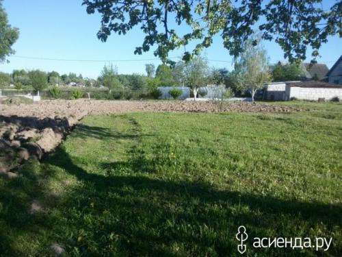 Как облагородить целину. Как разработать перепаханную целину с минимальными потерями?