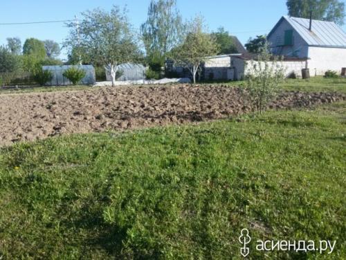 Как облагородить целину. Как разработать перепаханную целину с минимальными потерями?