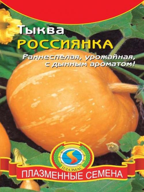 Тыква, как выглядит. Ранние сорта тыквы для открытого грунта, описание с фото