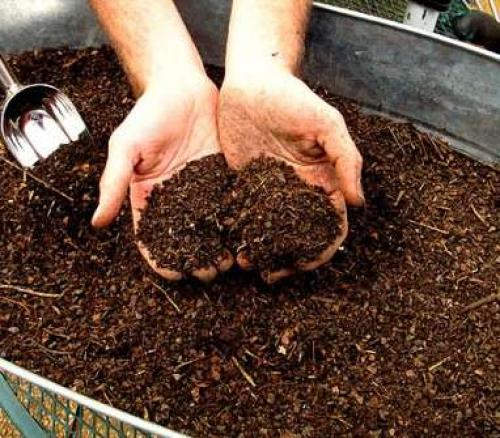 Чем обработать землю осенью от болезней и вредителей. Дача своими руками