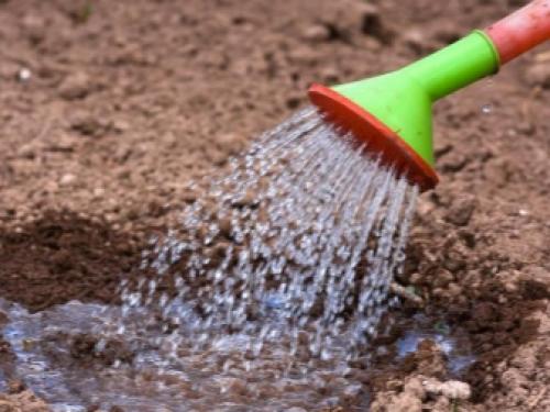 Как приготовить компост из травы быстро. Как сделать компост на даче своими руками: пошаговое описание 14