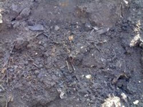 Компост из скошенной травы.