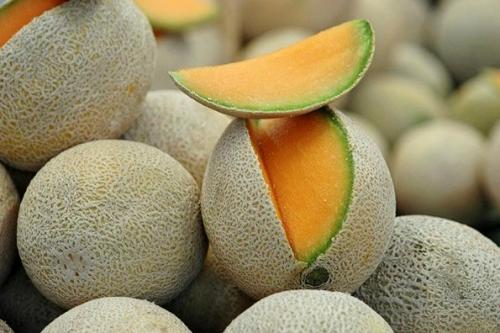 Сорта арбуза для Средней полосы. Сорта 03