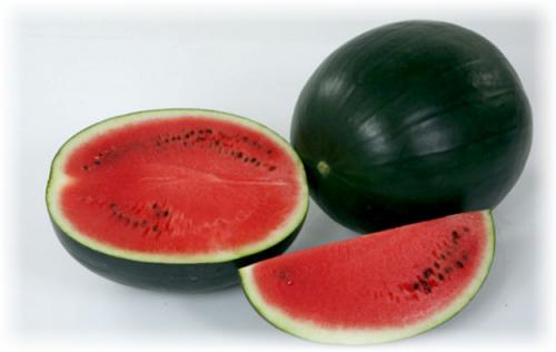 Сорта арбуза для Средней полосы. Сорта