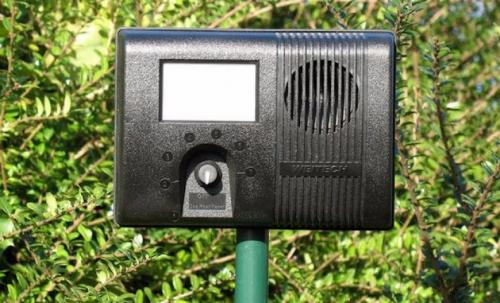 Как уберечь яблони от зайцев зимой. Как защитить яблони от зайцев, профилактические меры 02