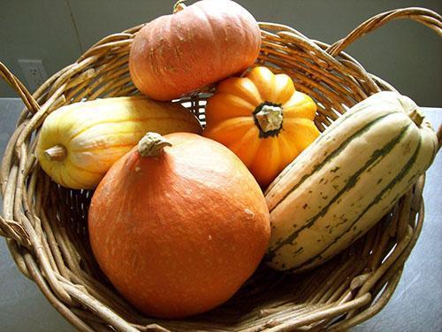 Тыква на зиму заготовки рецепты лучшие. Как заморозить тыкву на зиму?