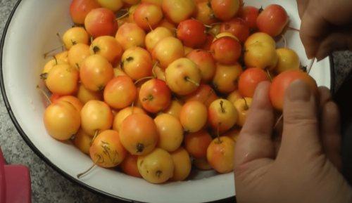 Как хранить ранетки В домашних условиях В квартире. Прозрачное варенье из ранеток с хвостиком