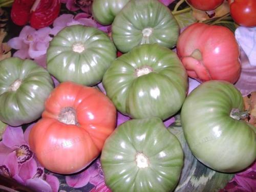 Для сока сорта томатов. Основные критерии выбора семян томатов 20