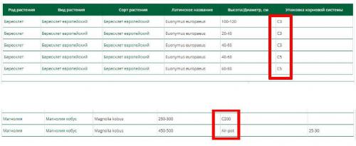 Что значит прикопать саженцы. Как прикапывать саженцы? 08
