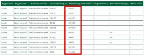 Что значит прикопать саженцы. Как прикапывать саженцы? 03