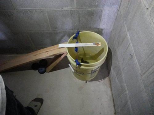 Ловушка для мышей своими руками быстро и просто. Ловушка для мышей своими руками: виды и варианты лучших моделей. 105 фото и видео советы Как сделать эффективную мышеловку