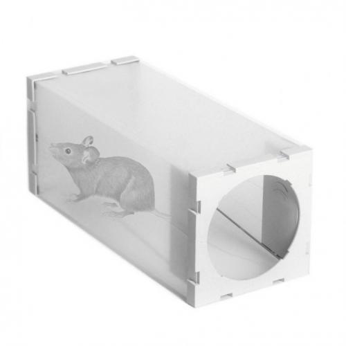 Ловушка для мышей своими руками быстро и просто. Ловушка для мышей своими руками: виды и варианты лучших моделей. 105 фото и видео советы Как сделать эффективную мышеловку