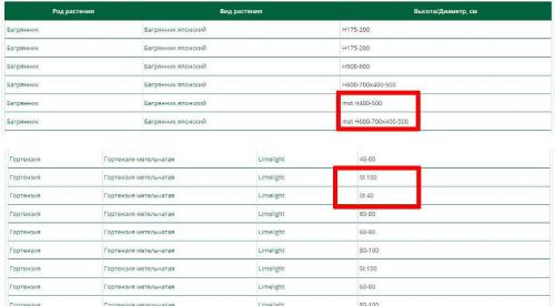 Что значит прикопать саженцы. Как прикапывать саженцы? 09