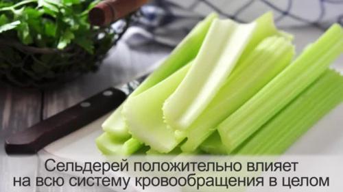 Сельдерей черешковый расстояние при посадке. Что такое черешковый сельдерей и каковы его особенности