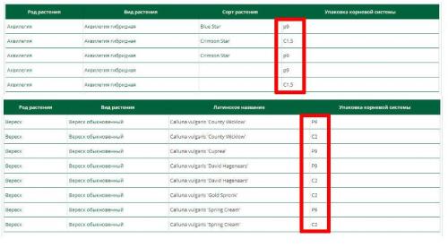 Что значит прикопать саженцы. Как прикапывать саженцы? 05